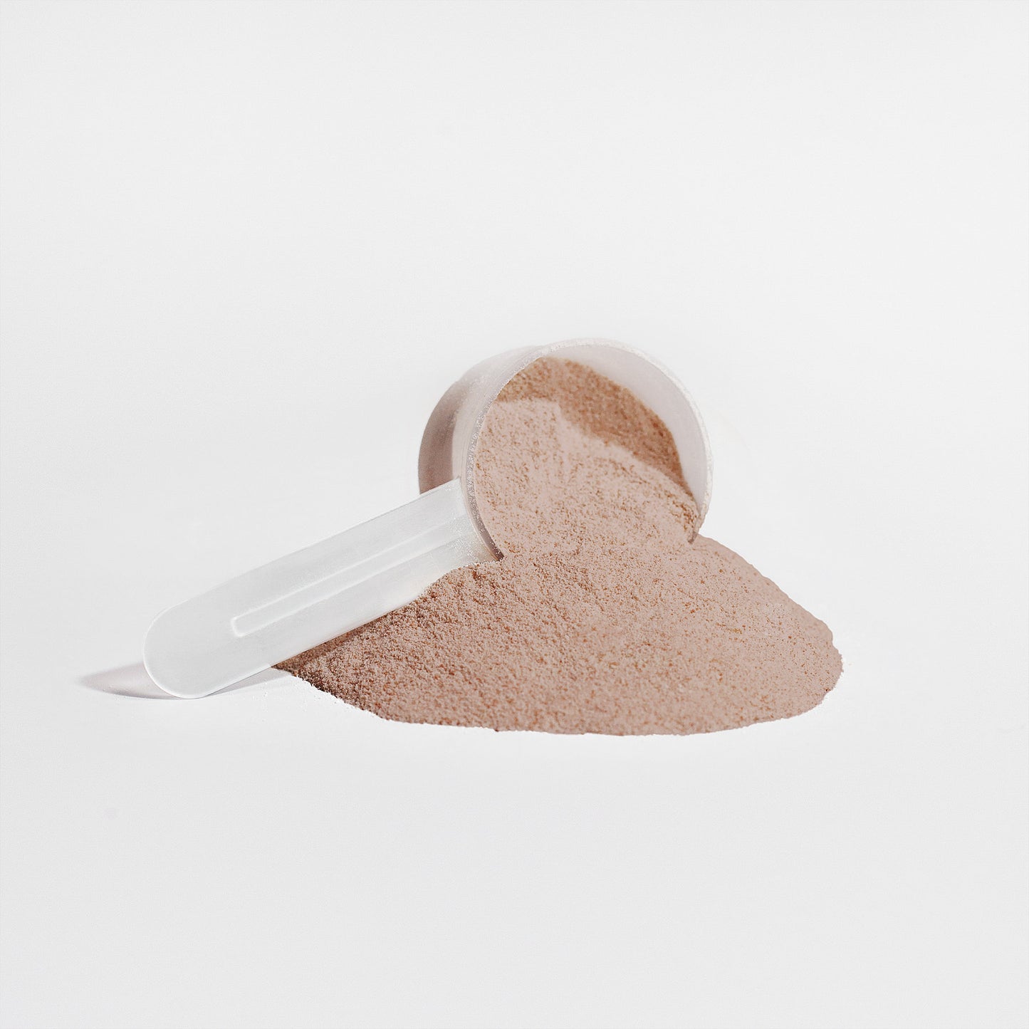 LifterNation Plant Protein 2lbs (Chocolate)