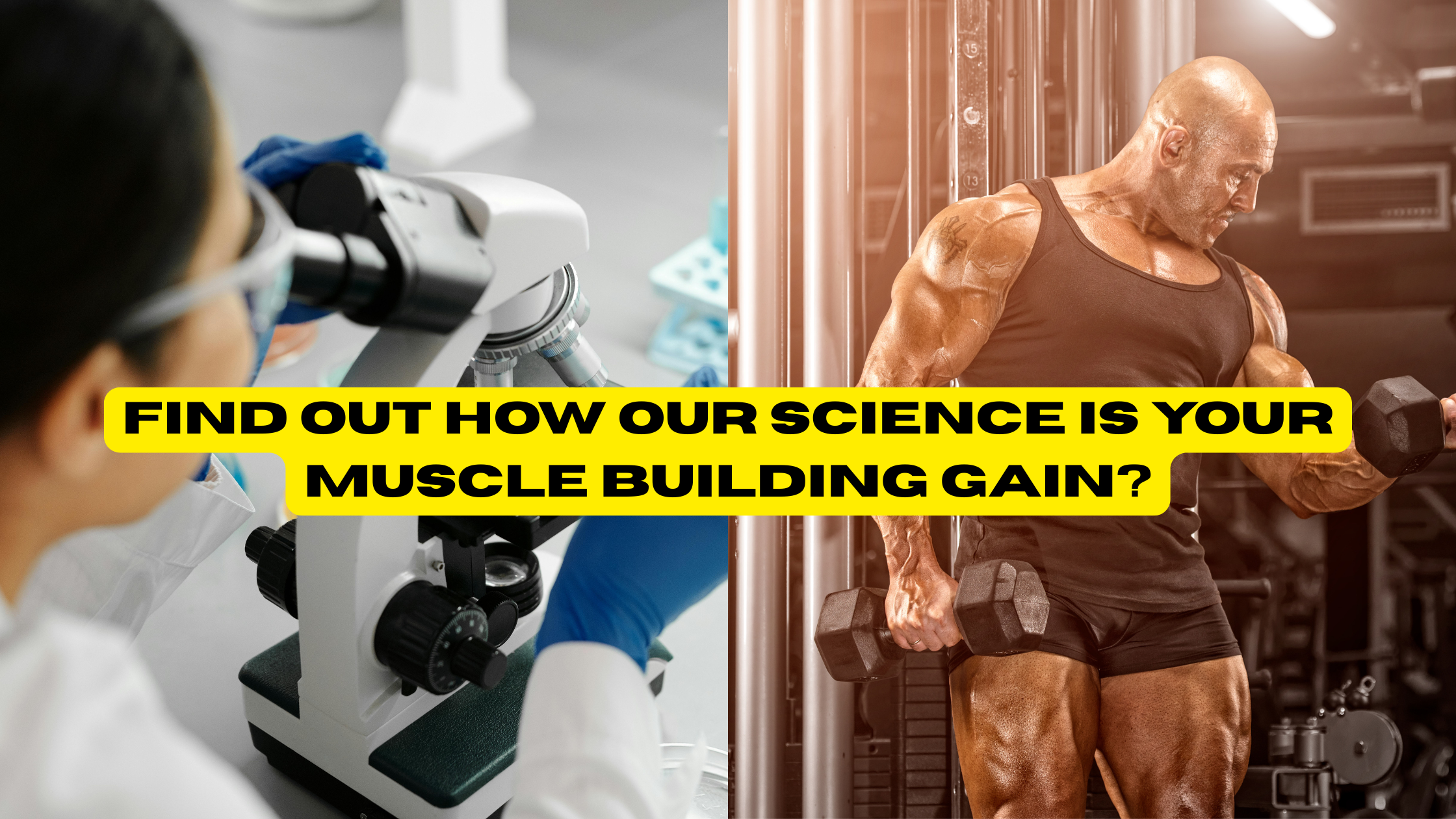Science Lifter The Surprising Science Behind LifterNation