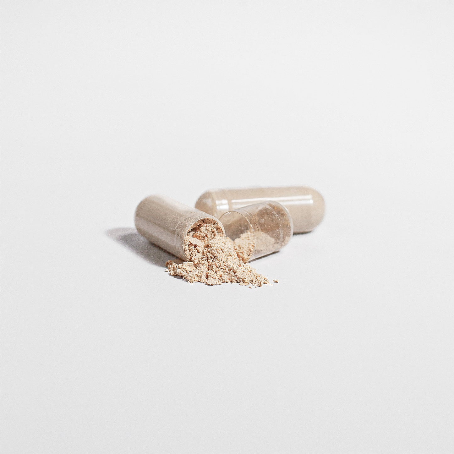 LifterNation Chaga Mushroom 1000mg (60 Capsules)
