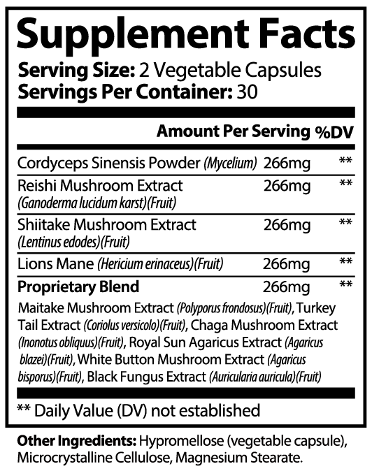 LifterNation Ultimate Mushroom Complex 10X (60 Capsules) Natural Extracts LifterNation Supplements