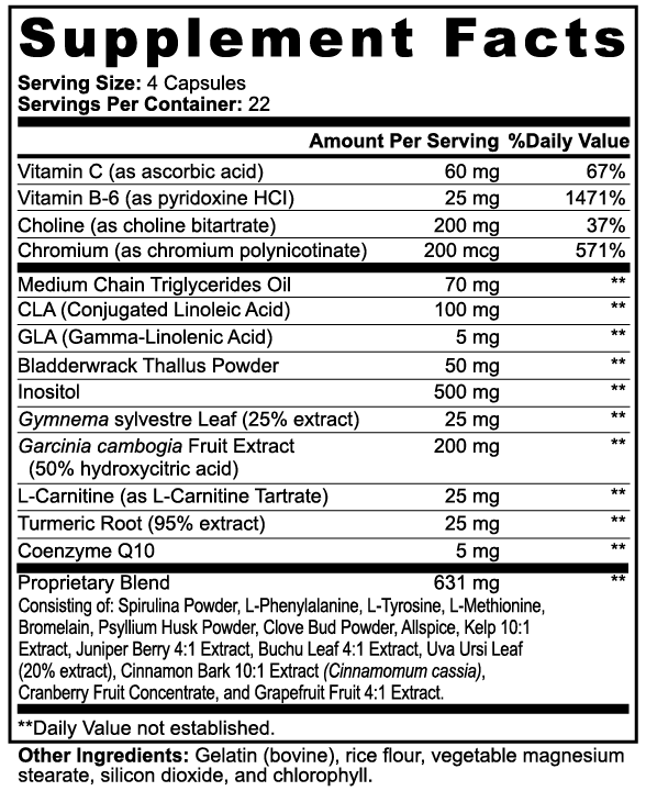 LifterNation Take Down Fat Burner (90 Capsules) Specialty Supplements LifterNation Supplements
